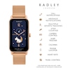 Thumbnail Image 1 of Radley Series 21 Ladies' Smart Gold Tone Mesh Strap Watch