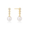 Thumbnail Image 1 of Ania Haie Gold Tone Tennis Beaded Stone Pearl Drop Stud Earrings