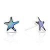 Thumbnail Image 1 of Sterling Silver Abalone Starfish Stud Earrings