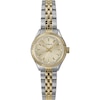 Thumbnail Image 1 of Timex Legacy Mini Gold Dial Two Tone Stainless Steel Bracelet Watch