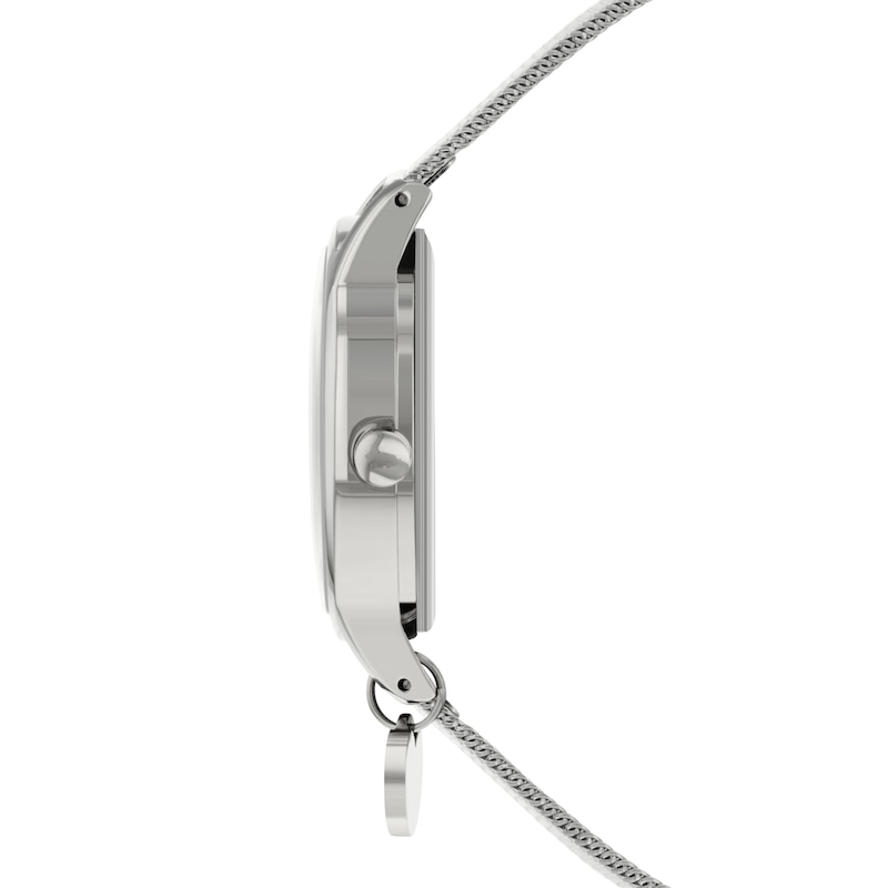 Radley Ladies' Stainless Steel Mesh Bracelet Watch