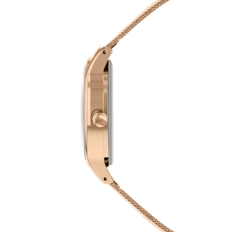 Main Image 3 of Radley Ladies' Rose Gold Tone Watch & Bracelet Gift Set