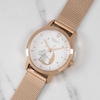 Thumbnail Image 5 of Radley Ladies' Rose Gold Tone Watch & Bracelet Gift Set