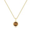 Thumbnail Image 1 of Ania Haie Women's Yellow Gold Plate Tiger Eye Pendant Necklace