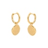 Thumbnail Image 2 of HS Edit MOLTEN 18ct Yellow Gold Plated Moulded Coin Hoop Drop Earrings