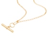 Thumbnail Image 4 of HS Edit T-BAR 18ct Yellow Gold Plated Sterling Silver Medium T-Bar Necklace