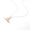 Thumbnail Image 2 of HS Edit ORGANIC 18ct Yellow Gold Plate & Sterling Silver Organic T-Bar Pendant Necklace