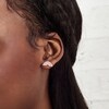 Thumbnail Image 2 of Olivia Burton Rainbow Rose Gold Tone Stud Earrings