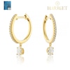 Thumbnail Image 1 of Harriet Sterling Silver & 18ct Yellow Gold Plated Vermeil 0.50ct Lab-Grown Diamond Oval Drop Hoop Earrings