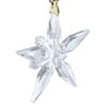 Thumbnail Image 4 of Swarovski Annual Edition Little Star Ornament 2025