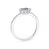 Thumbnail Image 3 of Sterling Silver Blue & White Cubic Zirconia Flower Ring