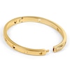Thumbnail Image 3 of Radley 18ct Pale Gold Plated Brass Cut Out Heart & Dog Bangle