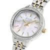 Thumbnail Image 2 of Radley Stone Set Mother Of Pearl Dial Stainless Steel Two Tone Bracelet Watch