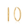 Ania Haie 14ct Gold Plated Curb Chain Hoop Earrings