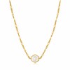 Thumbnail Image 0 of Ania Haie 14ct Gold Plated Compass Figaro Chain Necklace