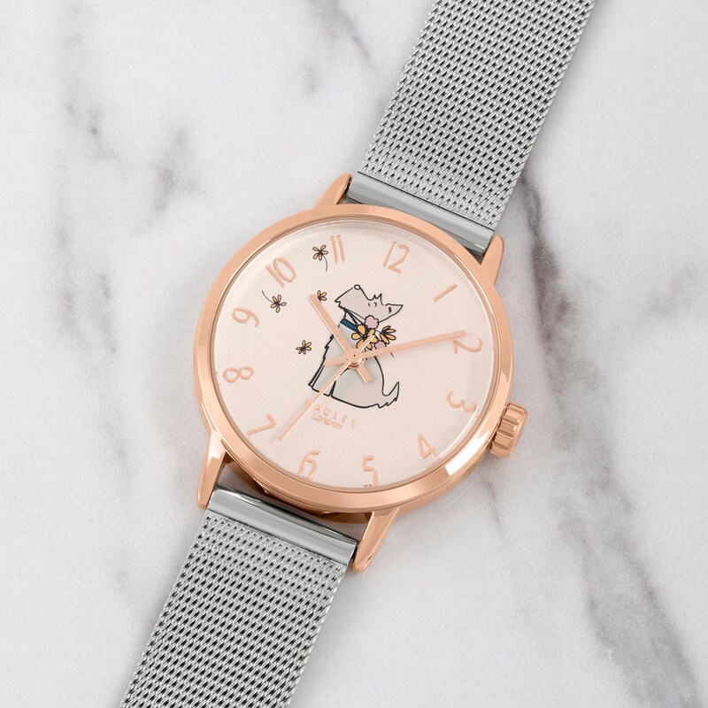 Main Image 3 of Radley Ladies' Stainless Steel Mesh Bracelet Watch