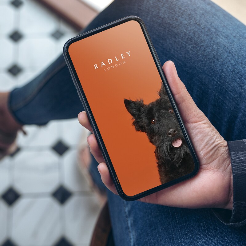 Radley Series 5 Smart Ladies' Mesh Bracelet Smartwatch