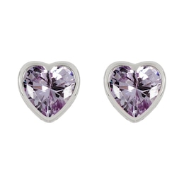 Radley Amy Silver Cubic Zirconia Heart Stud Earrings