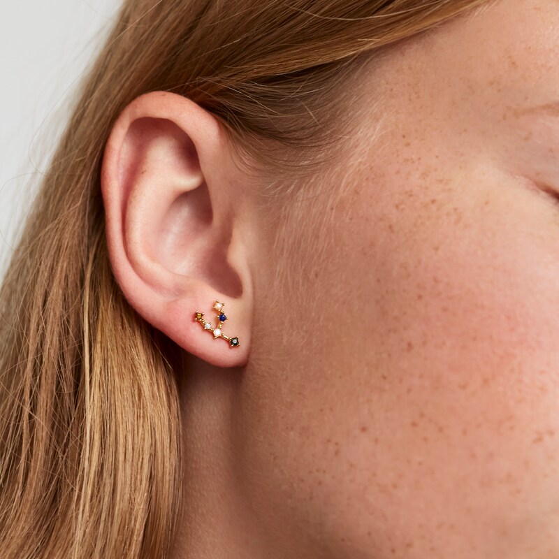 Main Image 3 of PDPAOLA  Taurus 18ct Gold Plated Gemstones Stud Earrings