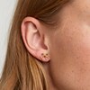 Thumbnail Image 3 of PDPAOLA  Sagittarius 18ct Gold Plated Gemstones Earrings