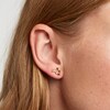 Thumbnail Image 3 of PDPAOLA  Capricorn 18ct Gold Plated Gemstones Earrings