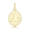 Thumbnail Image 0 of 9ct Yellow Gold Pisces Constellation Disc Pendant Charm
