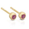 Thumbnail Image 1 of Sterling Silver & 18ct Gold Plated Vermeil Ruby Stud Earrings
