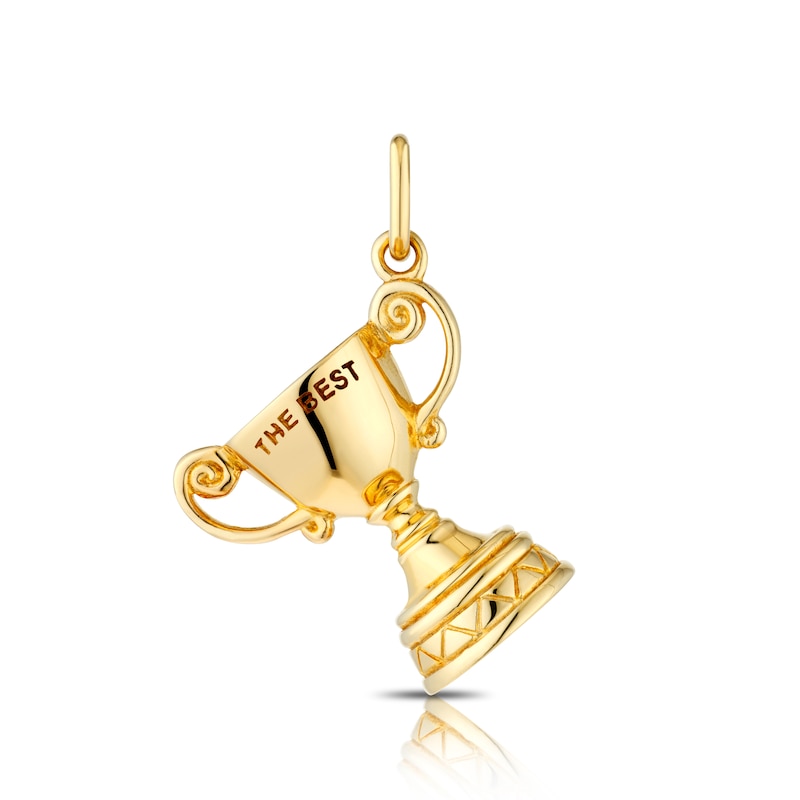 Main Image 1 of Yellow Gold Plated Sterling Silver Trophy Cup Charm