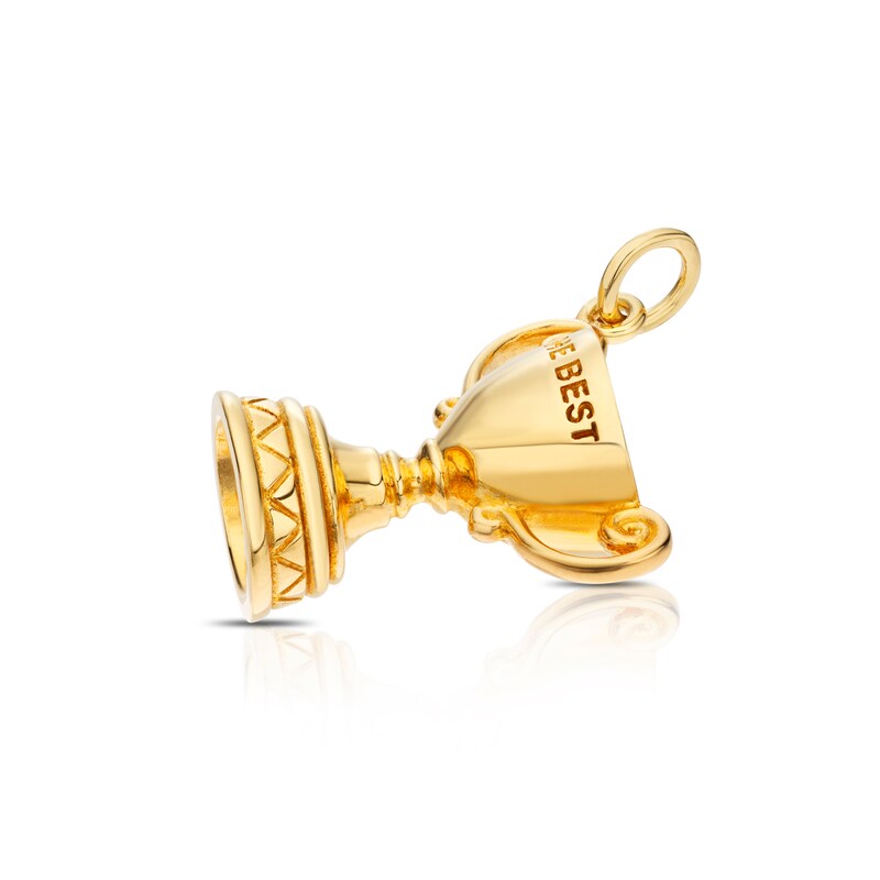 Main Image 2 of Yellow Gold Plated Sterling Silver Trophy Cup Charm