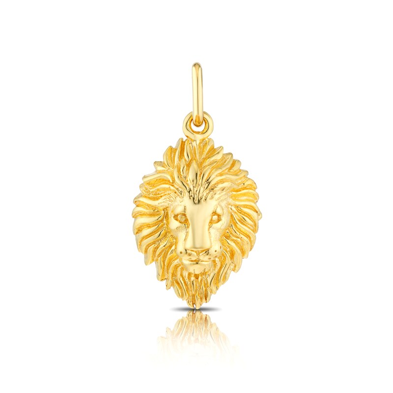 Main Image 1 of Yellow Gold Plated Leo Zodiac Charm