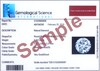 Thumbnail Image 4 of The Forever Diamond Platinum 0.50ct Diamond Twist Solitaire Ring