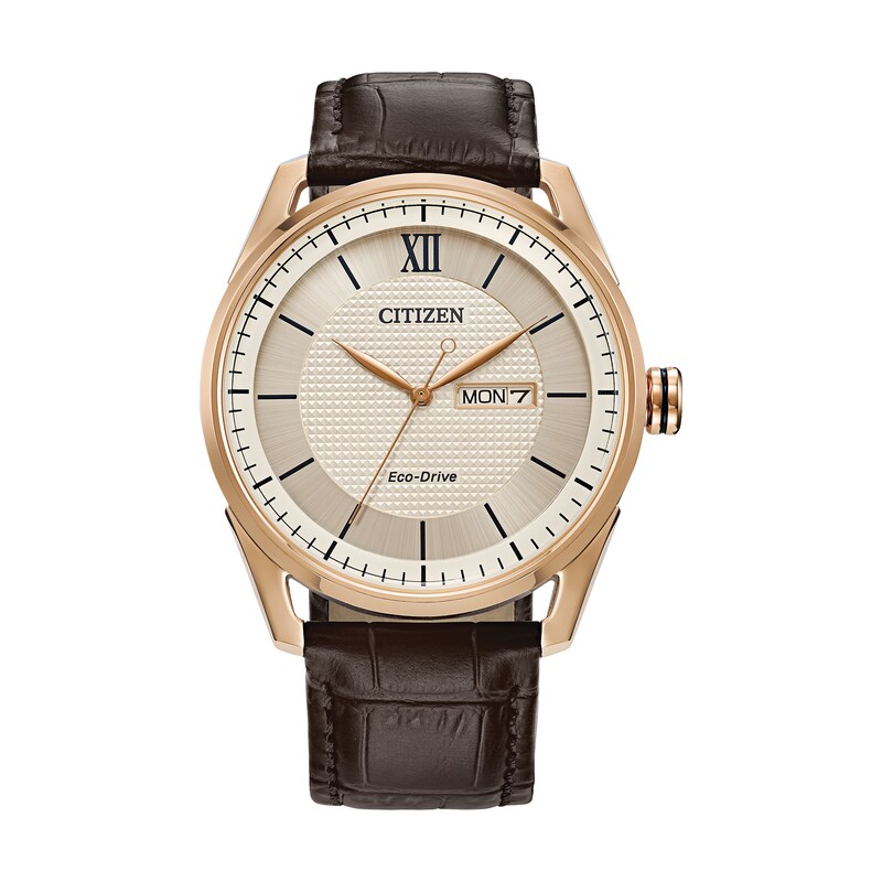 Citizen Eco-Drive Men's Brown Leather Strap Watch