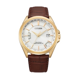 Citizen Eco-Drive Men's World Perpetual A.T Brown Leather Strap Watch