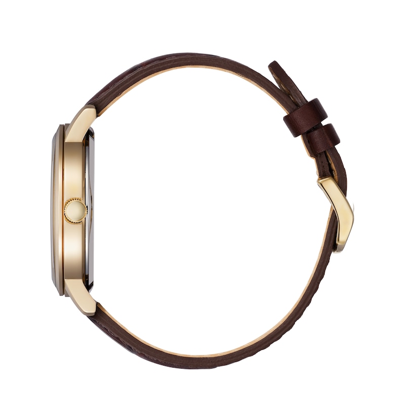 Main Image 2 of Citizen Men's Dark Brown Leather Strap Watch