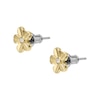 Thumbnail Image 1 of Fossil Val Women's Yellow Gold Tone Stud Earrings