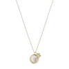 Thumbnail Image 1 of Fossil Val Vintage Vacation Mother Of Pearl Pendant
