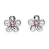 Thumbnail Image 0 of Hot Diamonds Sterling Silver Forget Me Not Stud Earrings