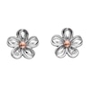 Thumbnail Image 1 of Hot Diamonds Sterling Silver Forget Me Not Stud Earrings