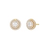 Thumbnail Image 0 of Michael Kors 14ct Gold Plated Silver Pavé Halo Stud Earrings