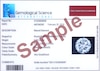 Thumbnail Image 4 of The Forever Diamond Platinum Halo 0.33ct Diamond Flower Ring