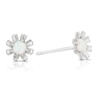 Thumbnail Image 1 of Sterling Silver Created Opal October Birth Flower Earrings