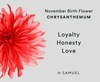 Thumbnail Image 3 of Sterling Silver CZ Chrysanthemum November Birth Flower Stud Earrings