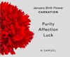 Thumbnail Image 3 of Sterling Silver CZ Carnation January Birth Flower Earrings