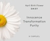 Thumbnail Image 3 of Sterling Silver CZ Daisy April Birth Flower Earrings