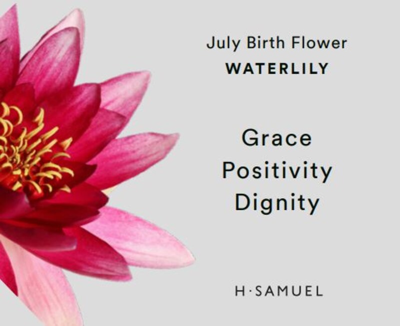 Main Image 3 of Sterling Silver CZ Waterlily July Birth Flower Stud Earrings