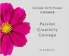 Thumbnail Image 4 of Sterling Silver Opal Cosmos October Birth Flower Necklace