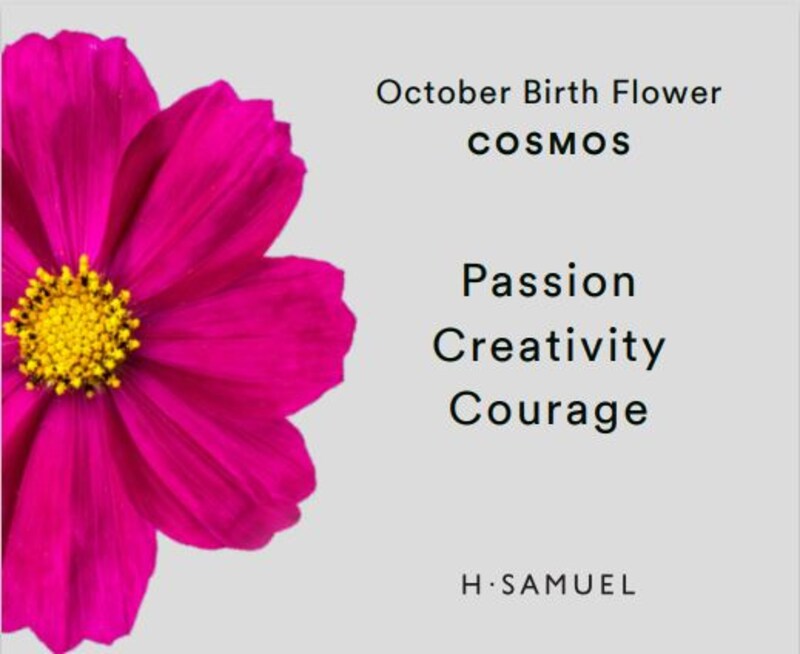 Main Image 4 of Sterling Silver Opal Cosmos October Birth Flower Necklace