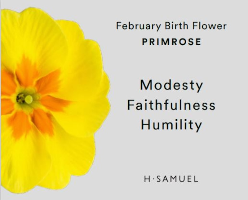 Main Image 4 of Sterling Silver CZ Primrose February Birth Flower Necklace