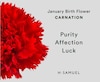 Thumbnail Image 4 of Sterling Silver CZ Carnation January Birth Flower Necklace