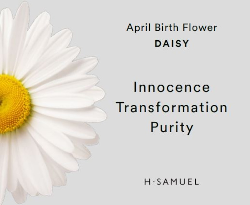 Main Image 4 of Sterling Silver CZ Daisy April Birth Flower Necklace